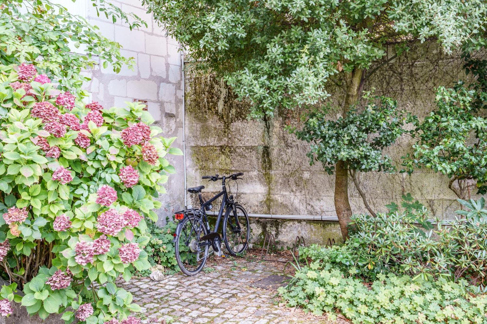 Appartement Raffine Vue Cathedrale, Jardin, Wifi Tours Bagian luar foto
